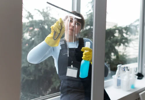 Nettoyage de vitres intérieures et extérieures à Lesbois